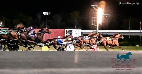 Live Harness Racing .